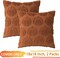 Pumpkin Fall Decorative Throw Pillow Covers 18"x18", Set of 2 Rust Red Soft Faux Fur Pillow Covers for Autumn Harvest, Fluffy Plush Accent Pillow Cases for Farmhouse Couch Cushion Covers.